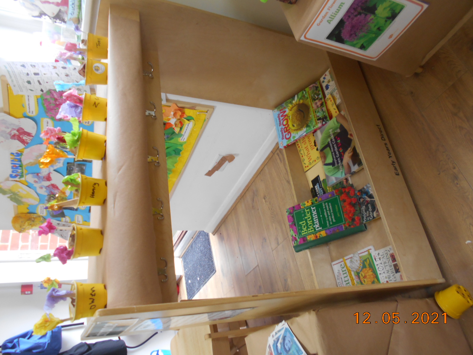 Life Cycle of Plants